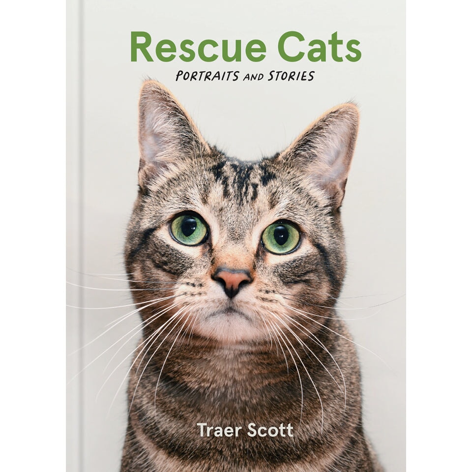 Rescue Cats Traer Scott