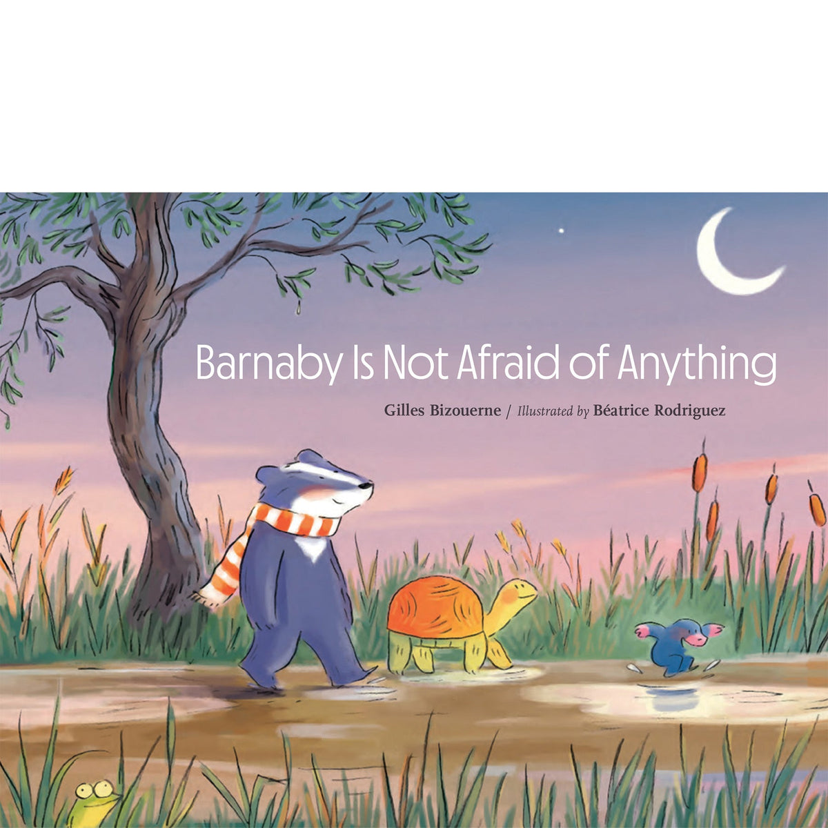 Barnaby Is Not Afraid of Anything Gilles Bizouerne, Béatrice Rodriguez