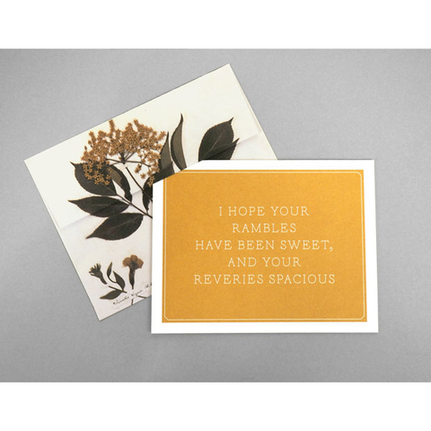 Emily Dickinson Notecards Princeton Architectural Press