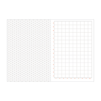 Grids & Guides (Navy) Princeton Architectural Press