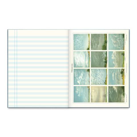Observer's Notebook: Weather Princeton Architectural Press