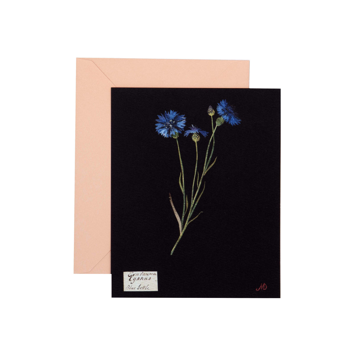 Paper Flowers Cards and Envelopes Princeton Architectural Press