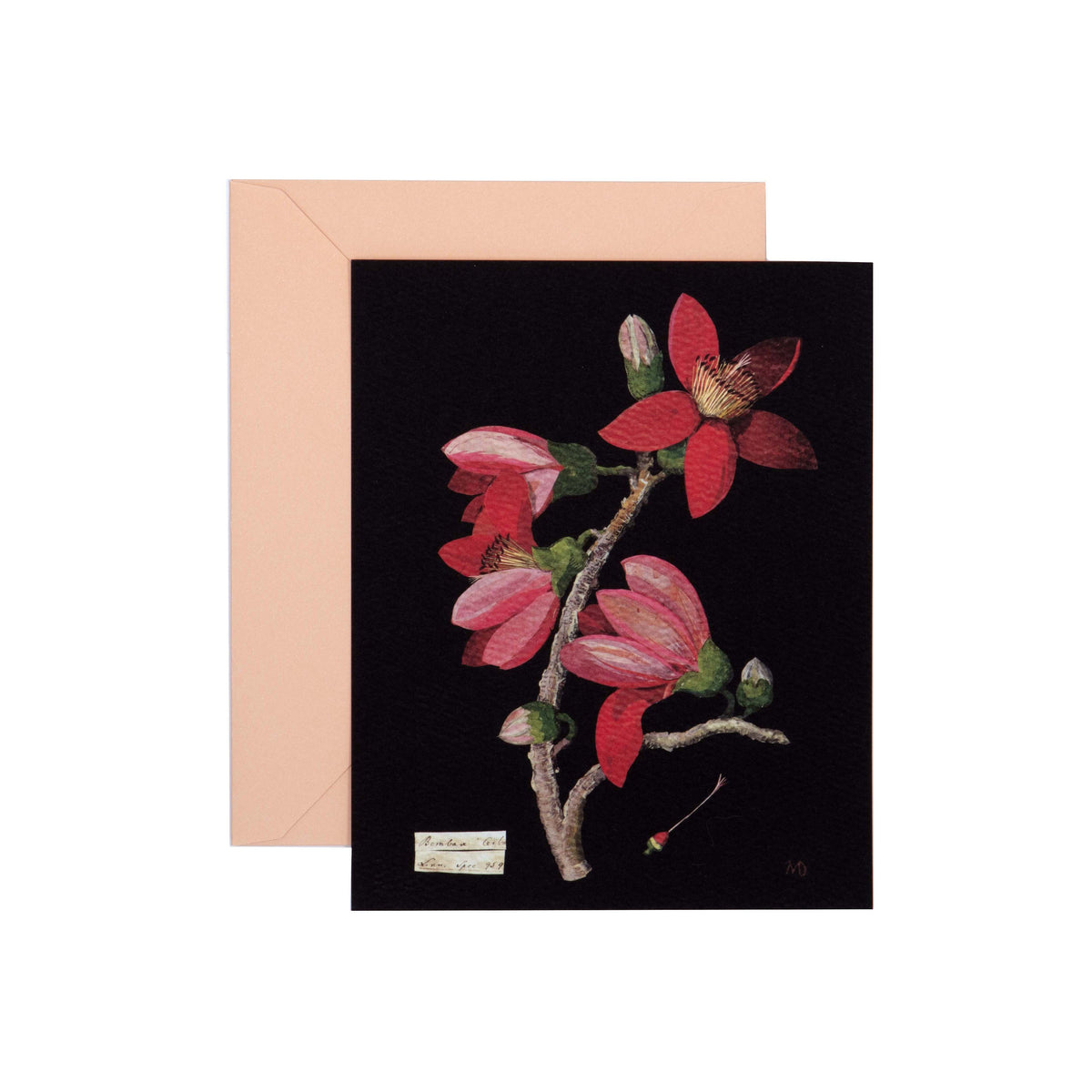 Paper Flowers Cards and Envelopes Princeton Architectural Press