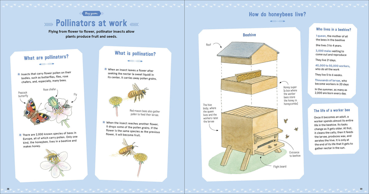 The Book of Tiny Creatures Nathalie Tordjman, Julien Norwood, and Emmanuelle Tchoukriel