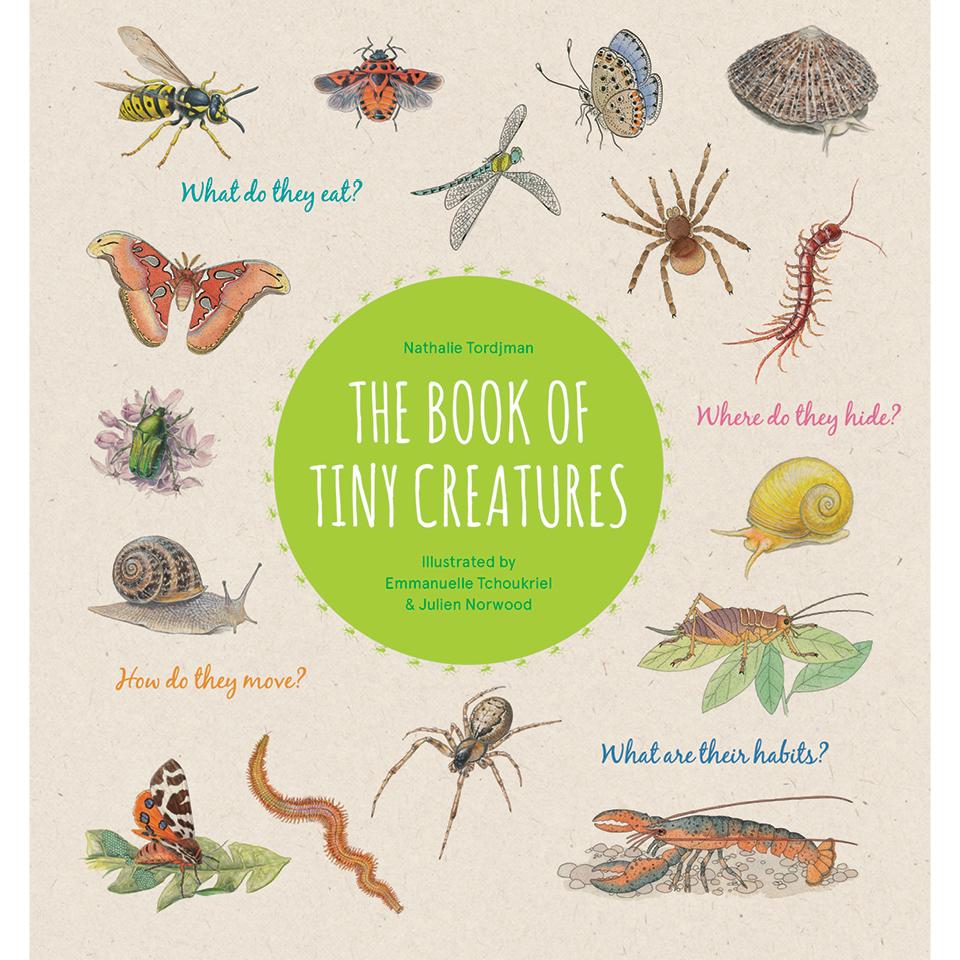 The Book of Tiny Creatures Nathalie Tordjman, Julien Norwood, and Emmanuelle Tchoukriel