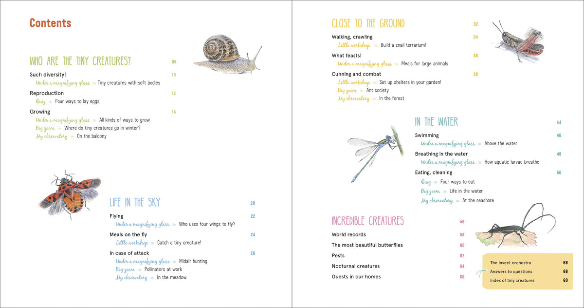 The Book of Tiny Creatures Nathalie Tordjman, Julien Norwood, and Emmanuelle Tchoukriel