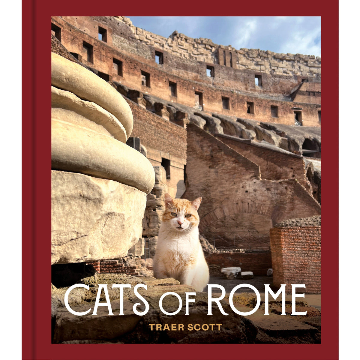 Cats of Rome Traer Scott