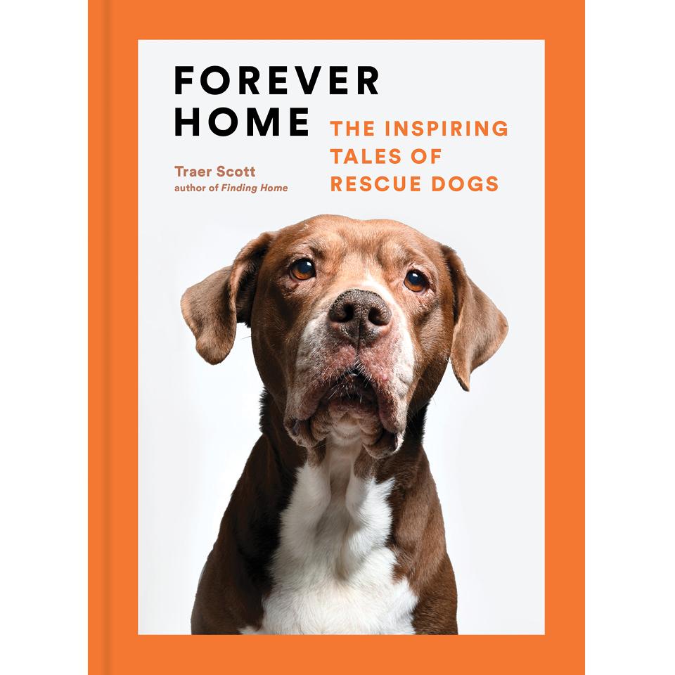 Forever Home Traer Scott