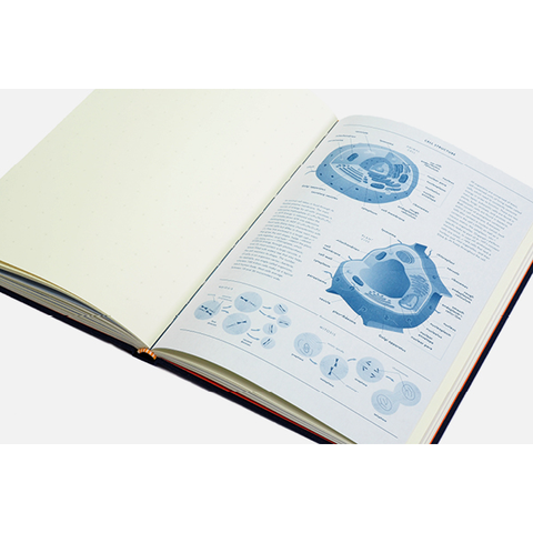 Grids & Guides (Navy) Princeton Architectural Press