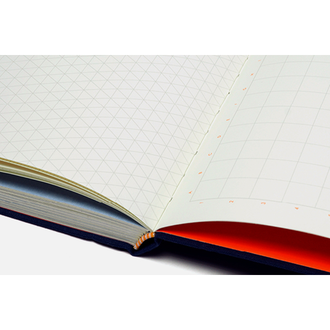 Grids & Guides (Navy) Princeton Architectural Press