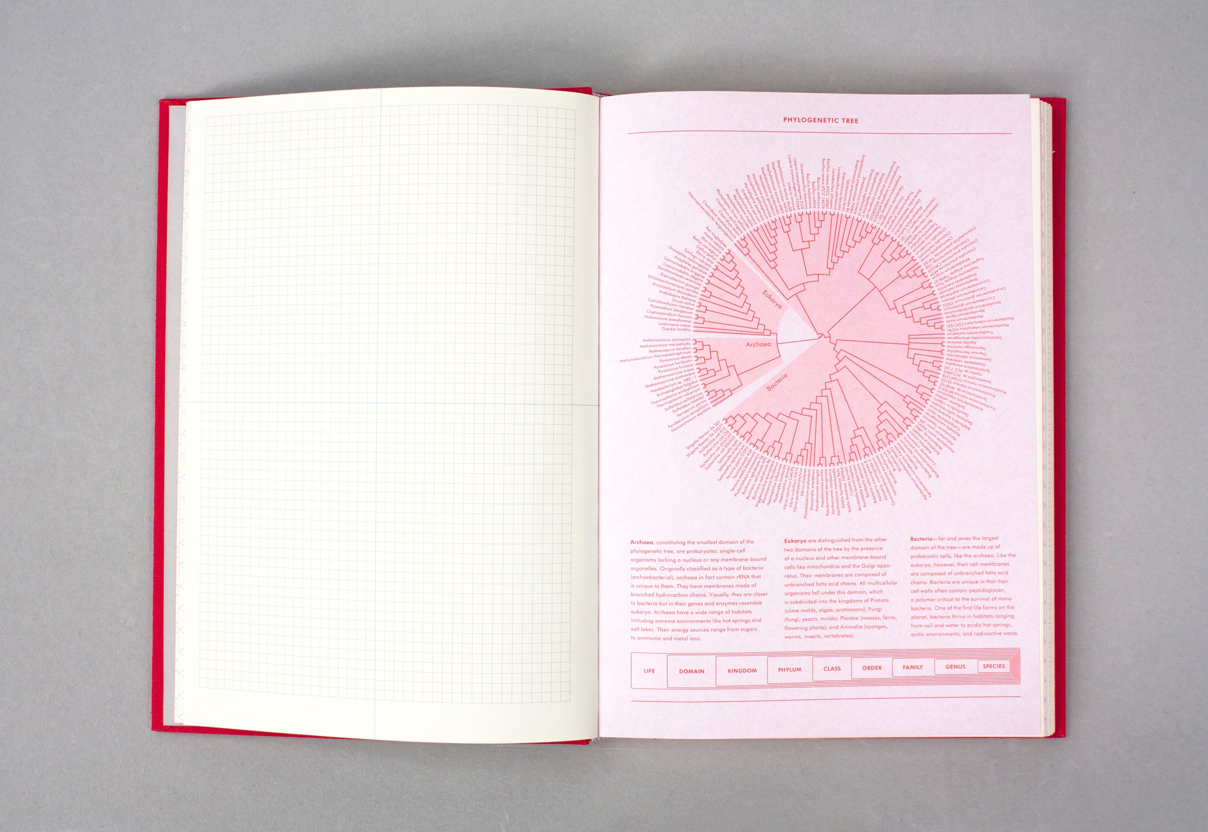 Grids & Guides (Red) A Notebook for Visual Thinkers | Princeton