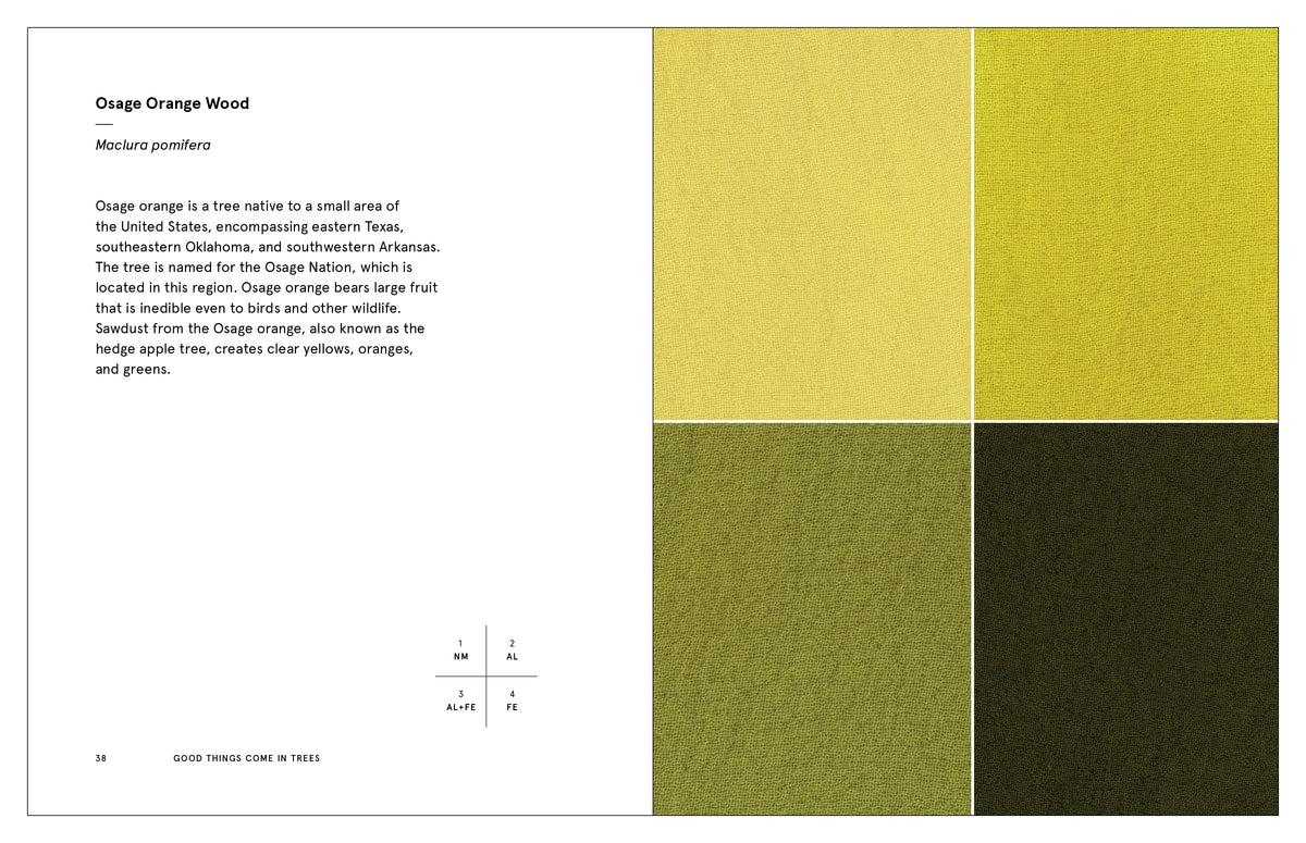 Natural Palettes Sasha Duerr