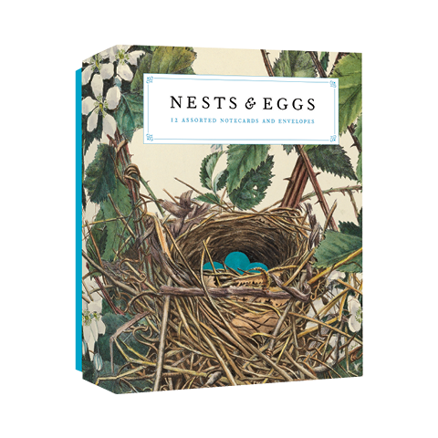Nests and Eggs Notecards Joy Kiser