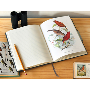 Observer's Notebook: Birds Princeton Architectural Press