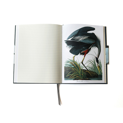 Observer's Notebook: Birds Princeton Architectural Press