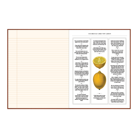 Observer's Notebook: Home Princeton Architectural Press