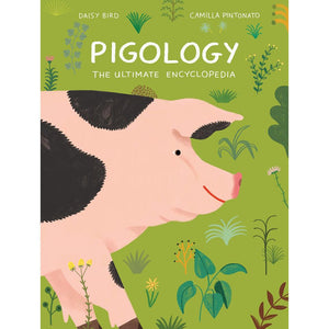 Pigology Daisy Bird, Camilla Pintonato