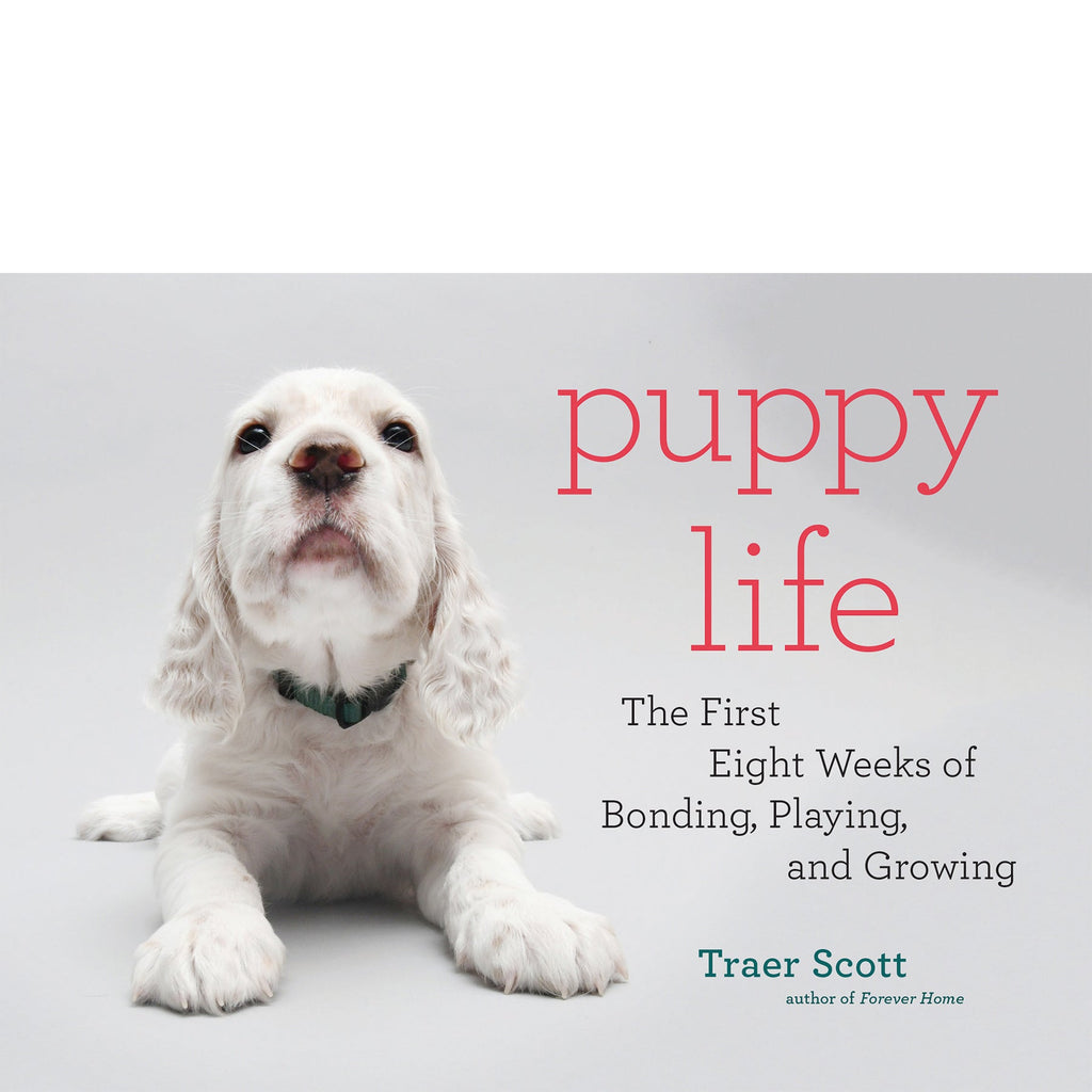 Puppy Life Traer Scott