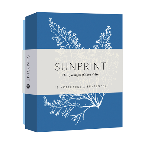 Sunprint Notecards The Cyanotypes of Anna Atkins | Princeton