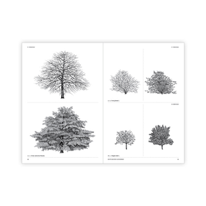The Architecture of Trees Cesare Leonardi, Franca Stagi