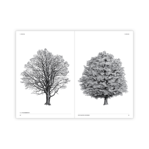 The Architecture of Trees Cesare Leonardi, Franca Stagi