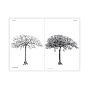 The Architecture of Trees Cesare Leonardi, Franca Stagi