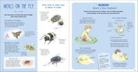 The Book of Tiny Creatures Nathalie Tordjman, Julien Norwood, and Emmanuelle Tchoukriel