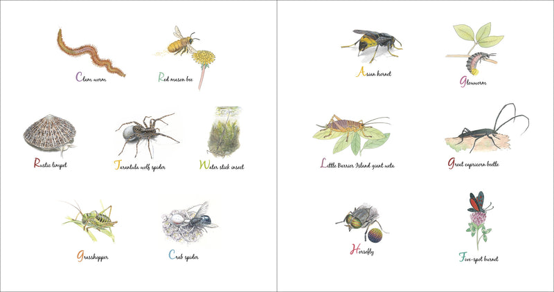 The Book of Tiny Creatures Nathalie Tordjman, Julien Norwood, and Emmanuelle Tchoukriel