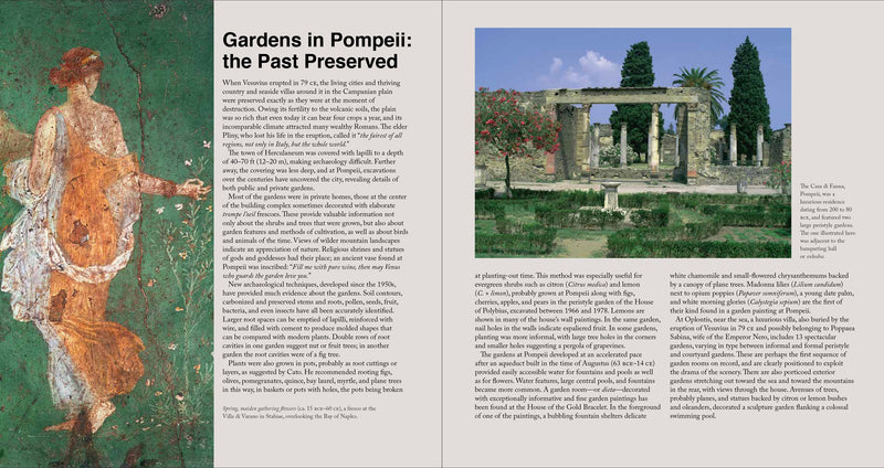 The Story of Gardening Penelope Hobhouse, Ambra Edwards